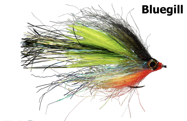 RIO Princess Slaya Bluegill